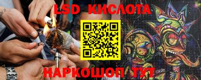 крисы Канаш