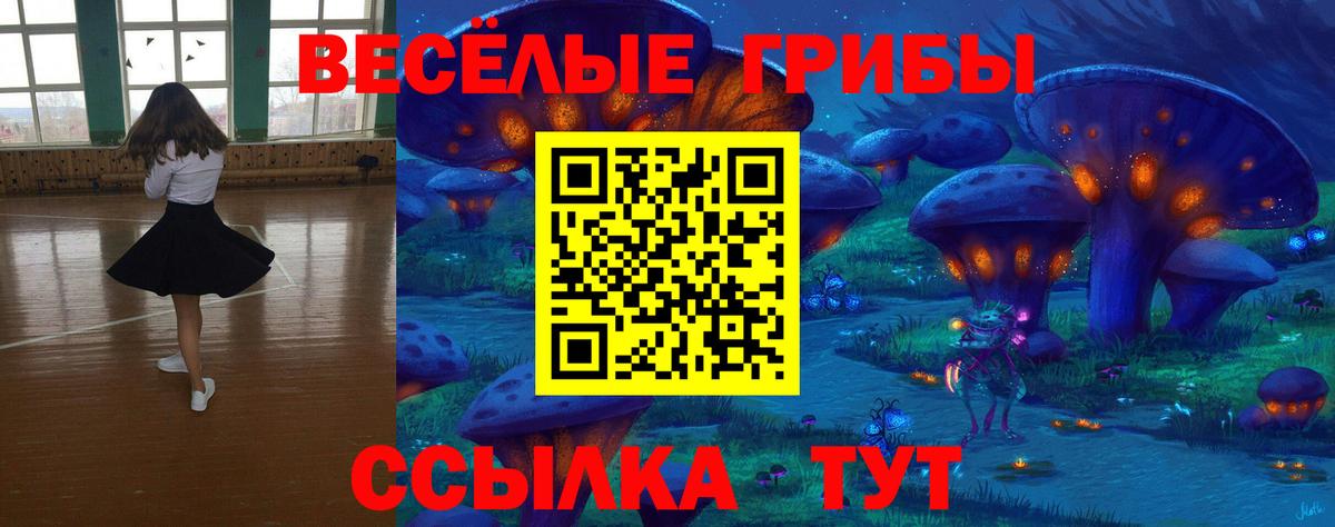 Псилоцибиновые грибы Psilocybe  Галлюциногенные грибы мицелий  Вход с VPN  Красноуфимск 